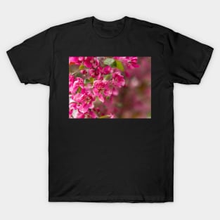 Apple blossom T-Shirt